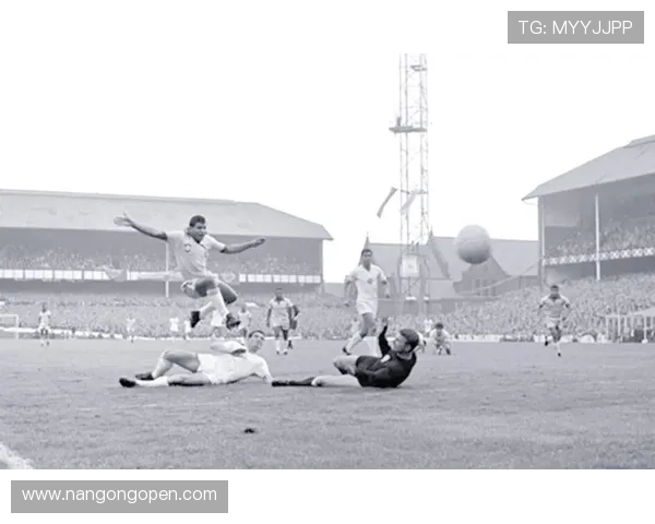 伊朗世界杯表现回顾与分析 聚焦球队战术和球员发挥